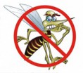PREFEITURA DE DIAMANTINA/ CAMPANHA FORA DENGUE, EU FAÇO MINHA PARTE.‏